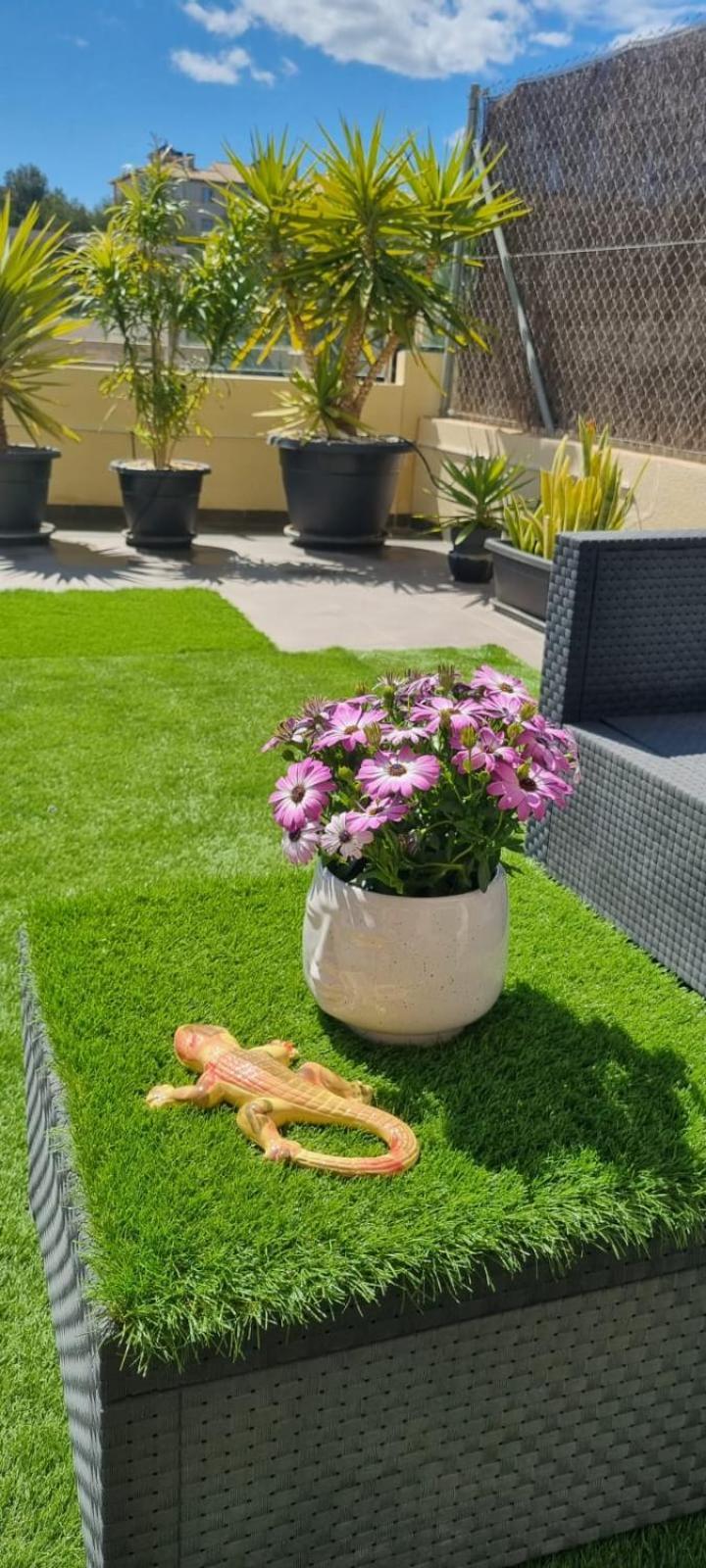 La Zenia Sabrina Apartment 5 Orihuela Eksteriør bilde